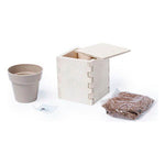 Set per la Semina Menta 146223